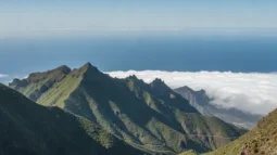 Anaga landsbygdspark, Tenerife: Lagerbladsskogar, utsiktsplatser och den bästa körrutten (2026)