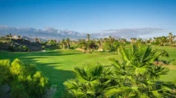 Golfparadiset: Lycka till på de bästa golfklubbarna på Teneriffa