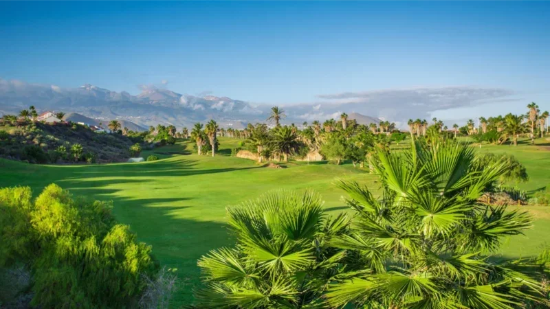 Golfparadiset: Lycka till på de bästa golfklubbarna på Teneriffa