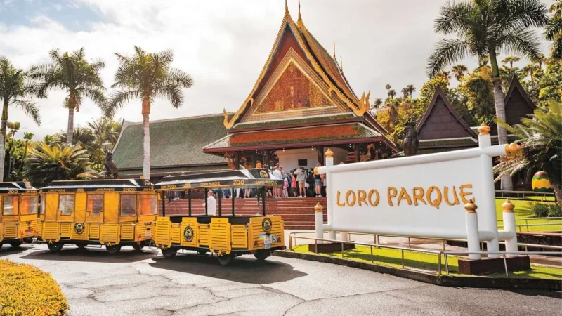 Loro Parque Tenerife – Upptäck hjärtat av öns naturliga underverk