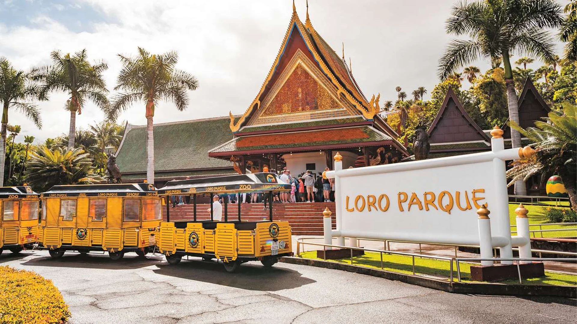 Loro Parque Tenerife – Upptäck hjärtat av öns naturliga underverk