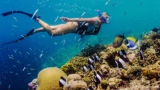 Simma med strömmen: En djupdykning bland Teneriffas snorklingsplatser