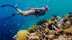 Simma med strömmen: En djupdykning bland Teneriffas snorklingsplatser