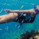 Simma med strömmen: En djupdykning bland Teneriffas snorklingsplatser