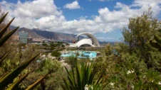 Botaniska trädgården på Teneriffa: Där den tropiska skönheten frodas i överflöd